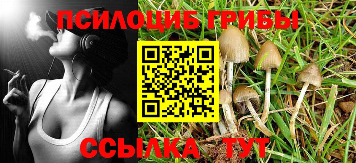 Псилоцибиновые грибы Magic Shrooms Одинцово