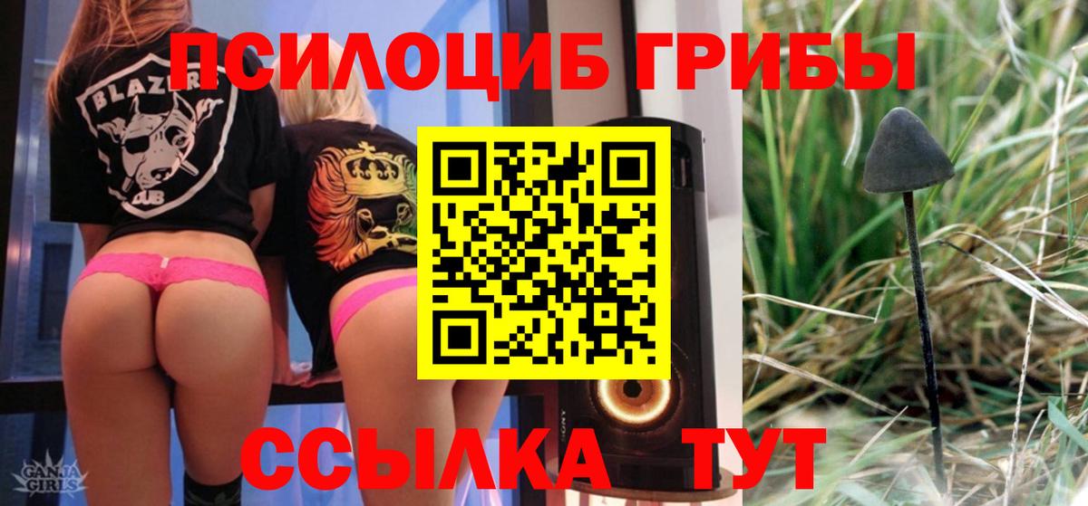 Одинцово  Галлюциногенные грибы MAGIC MUSHROOMS  Вход с VPN  как найти наркотики  Псилоцибиновые грибы MAGIC MUSHROOMS 